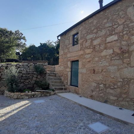 River House Sejaes Oliveira de Frades Luaran gambar
