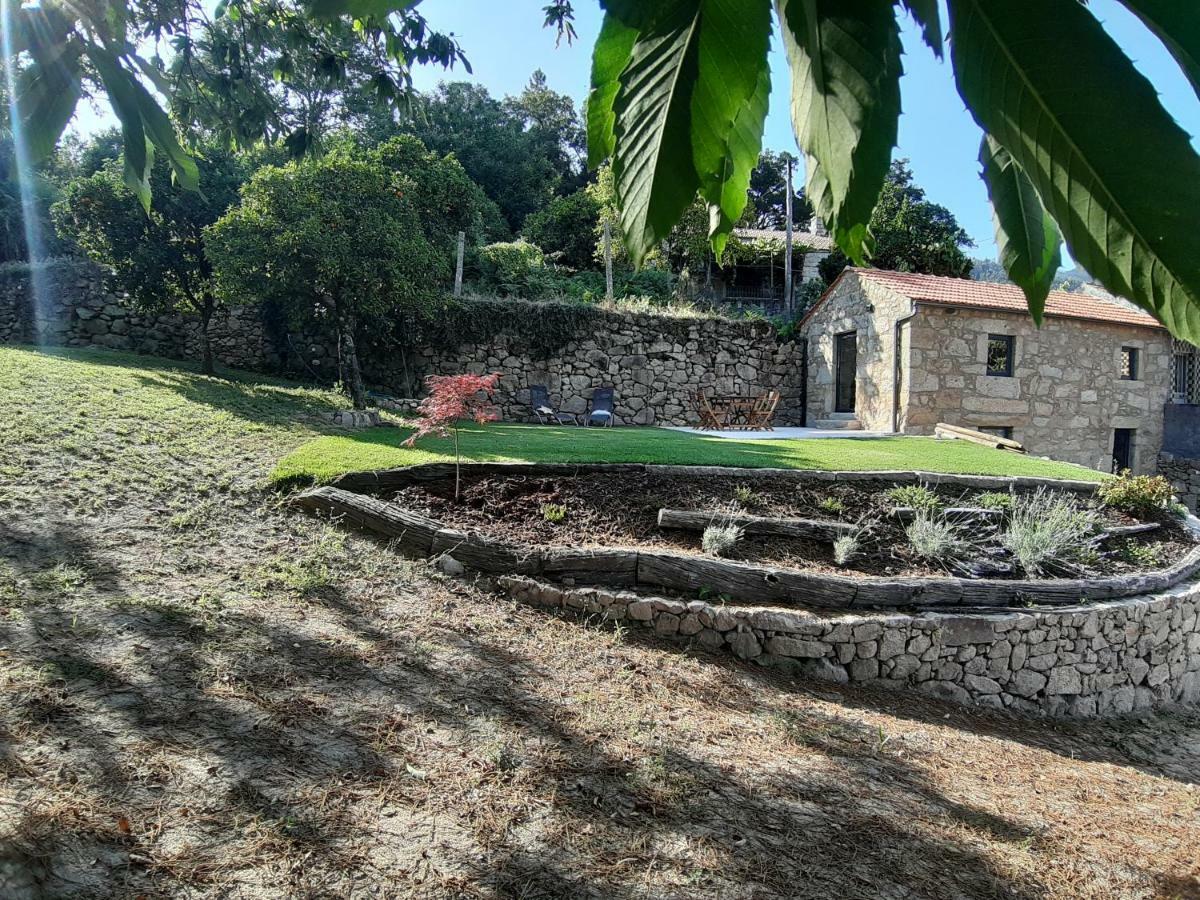 River House Sejaes Oliveira de Frades Luaran gambar