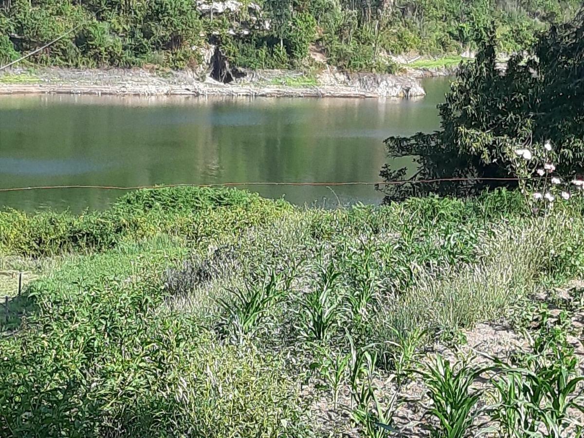 River House Sejaes Oliveira de Frades Luaran gambar