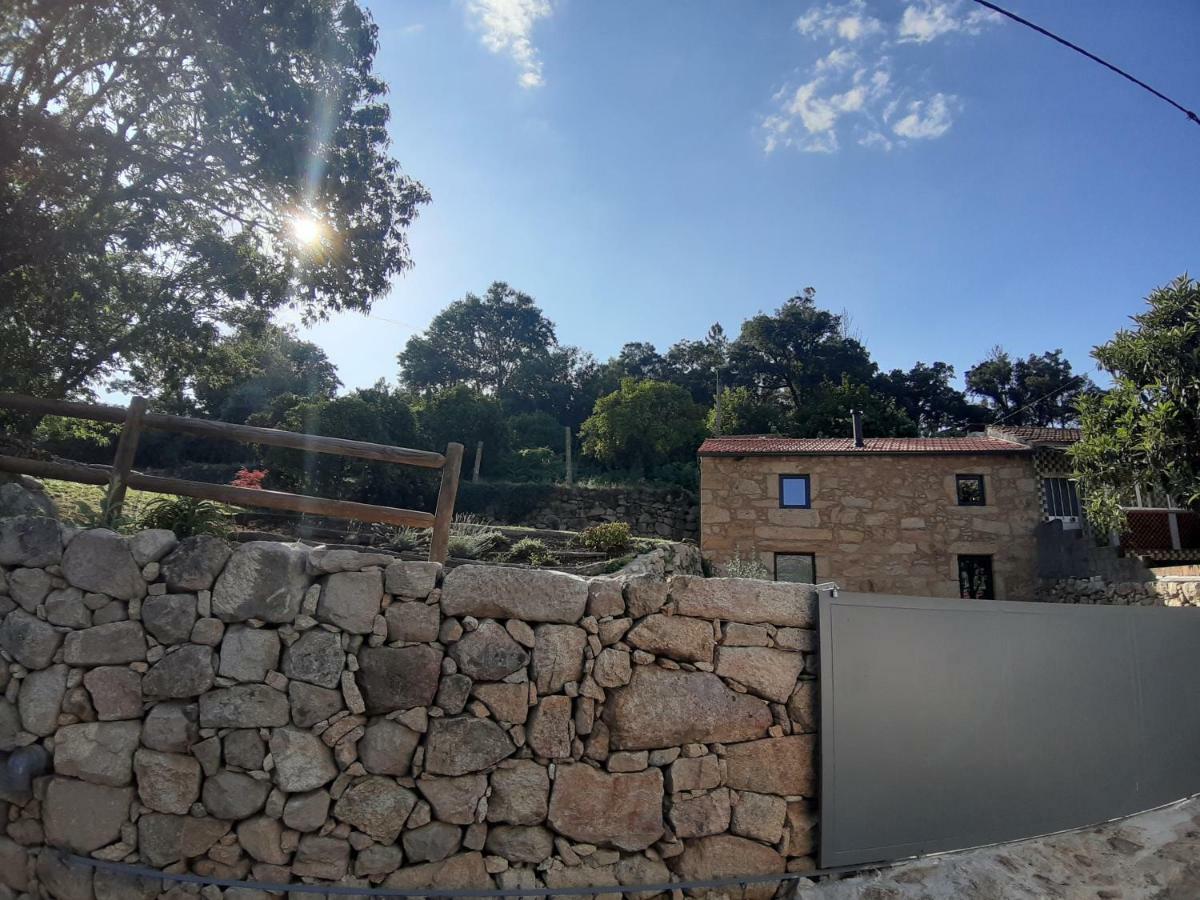 River House Sejaes Oliveira de Frades Luaran gambar