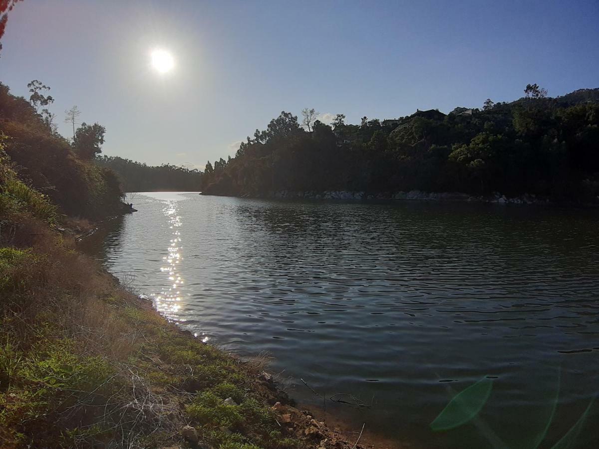 River House Sejaes Oliveira de Frades Luaran gambar