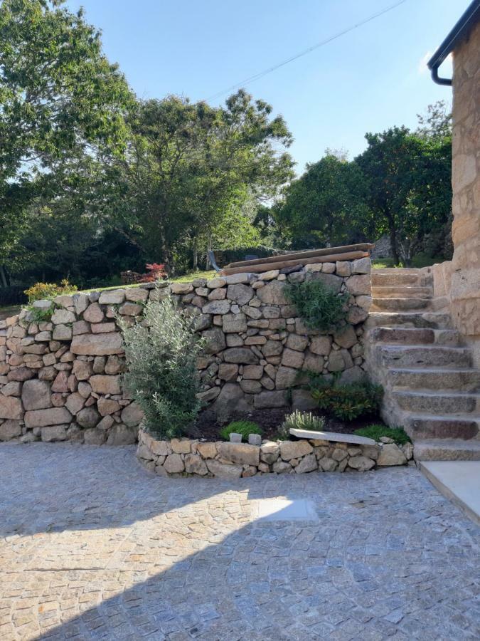 River House Sejaes Oliveira de Frades Luaran gambar