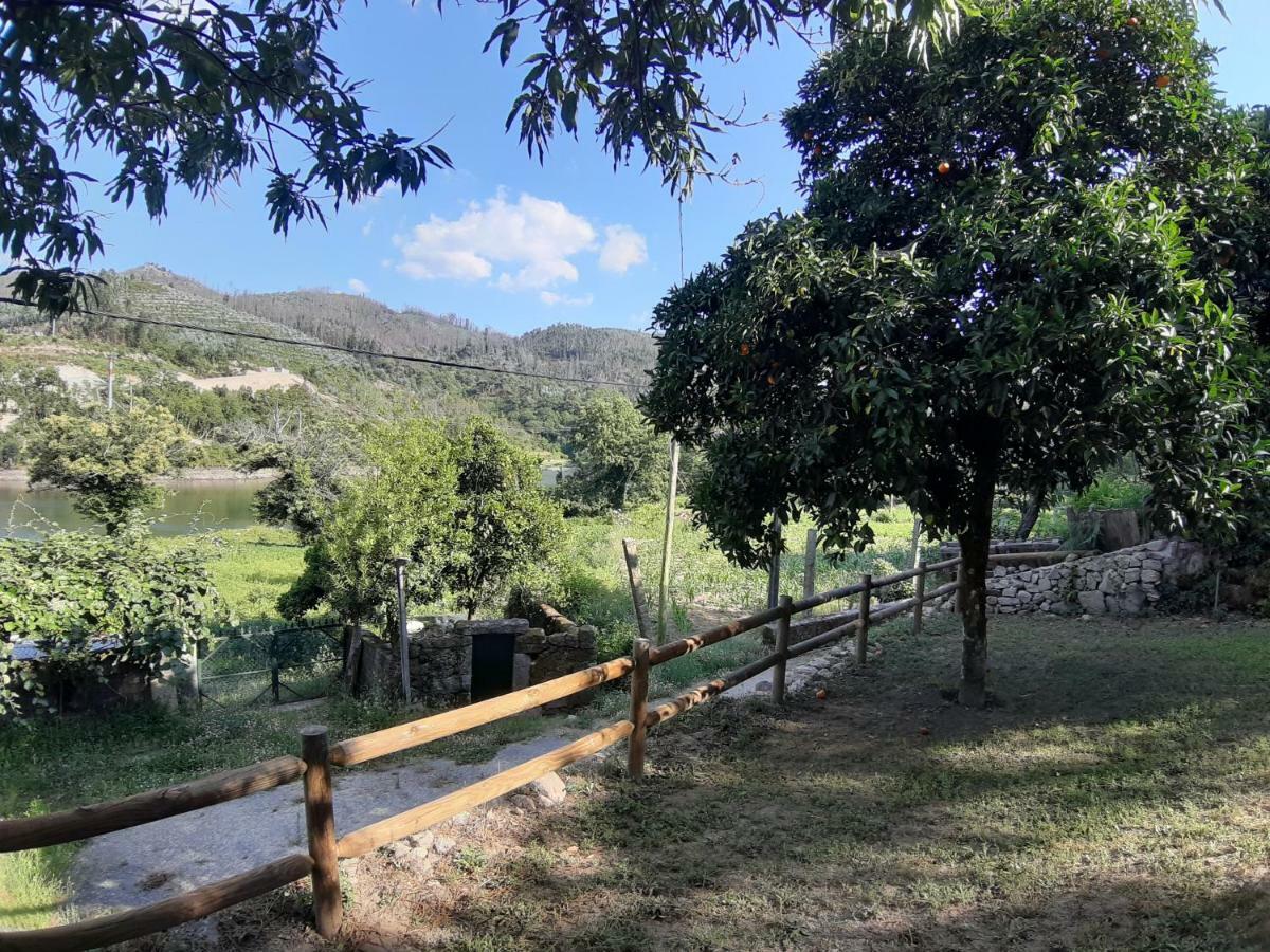 River House Sejaes Oliveira de Frades Luaran gambar