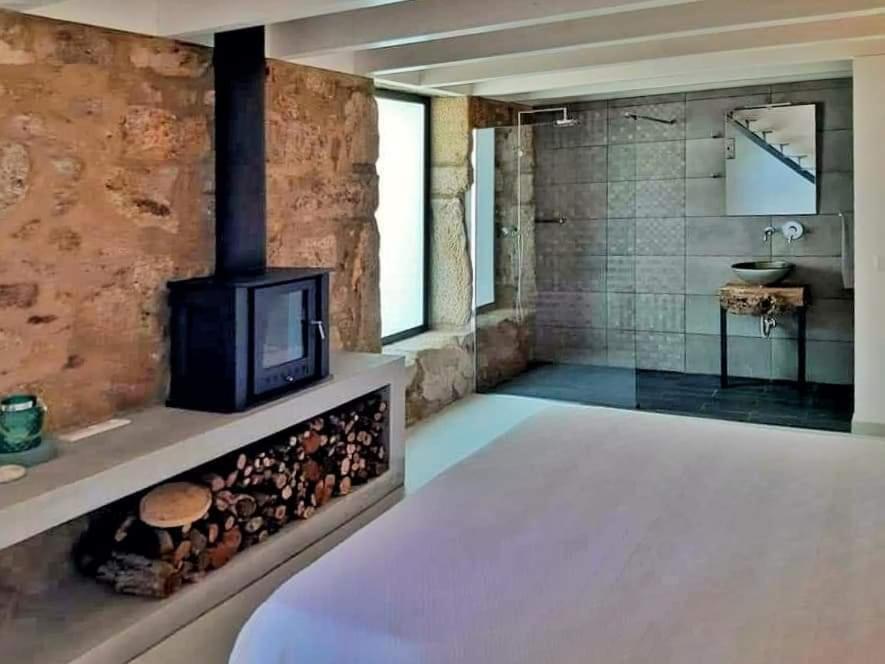 River House Sejaes Oliveira de Frades Luaran gambar