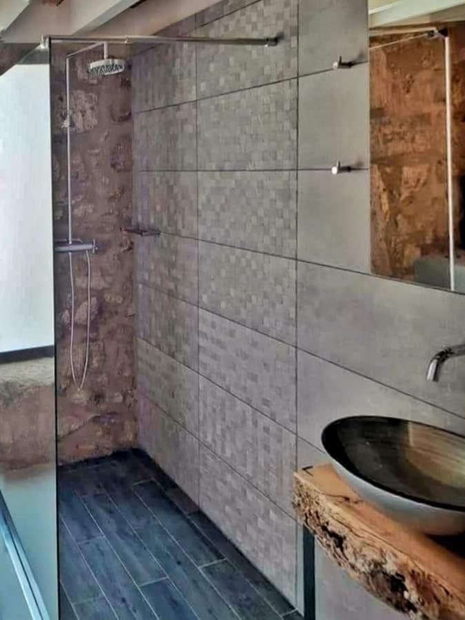 River House Sejaes Oliveira de Frades Luaran gambar